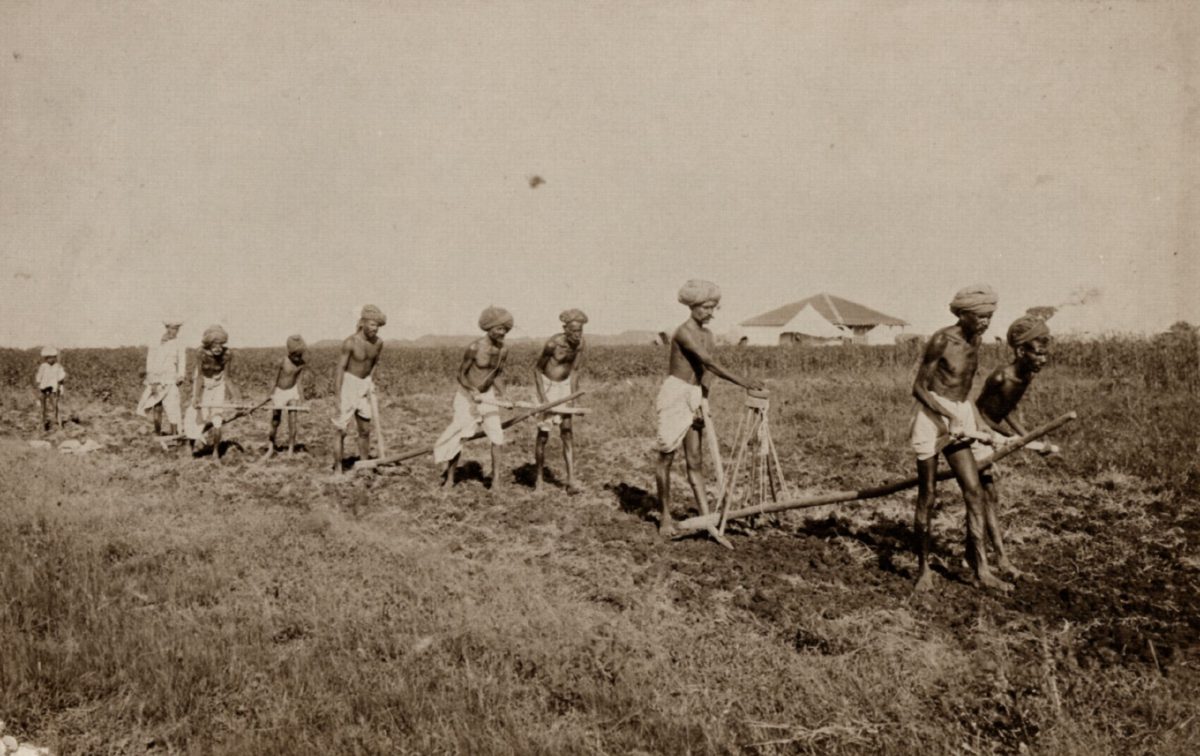 Peasants working in a field under the Nizam of Hyderabad, 1890s. Photo by Raja Deen Dayal. (Wikimedia Commons / Public Domain)